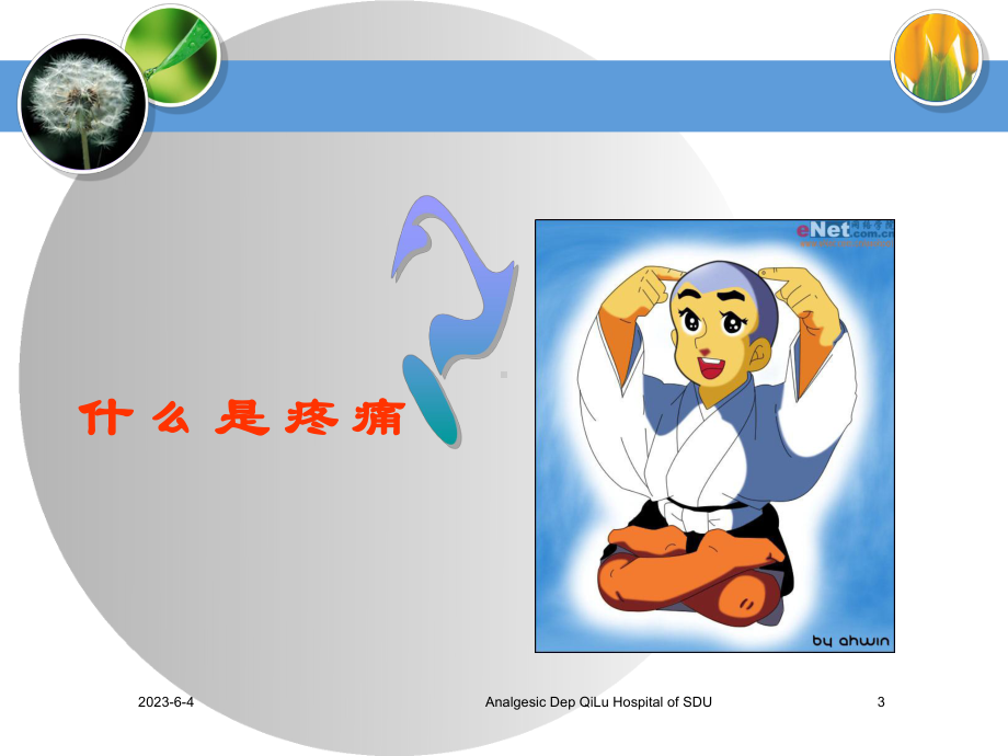 重症患者疼痛管理-课件.ppt_第3页