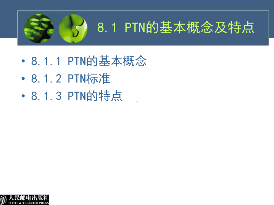 自考-光纤通信-第8章-分组传送网PTN课件.ppt_第2页