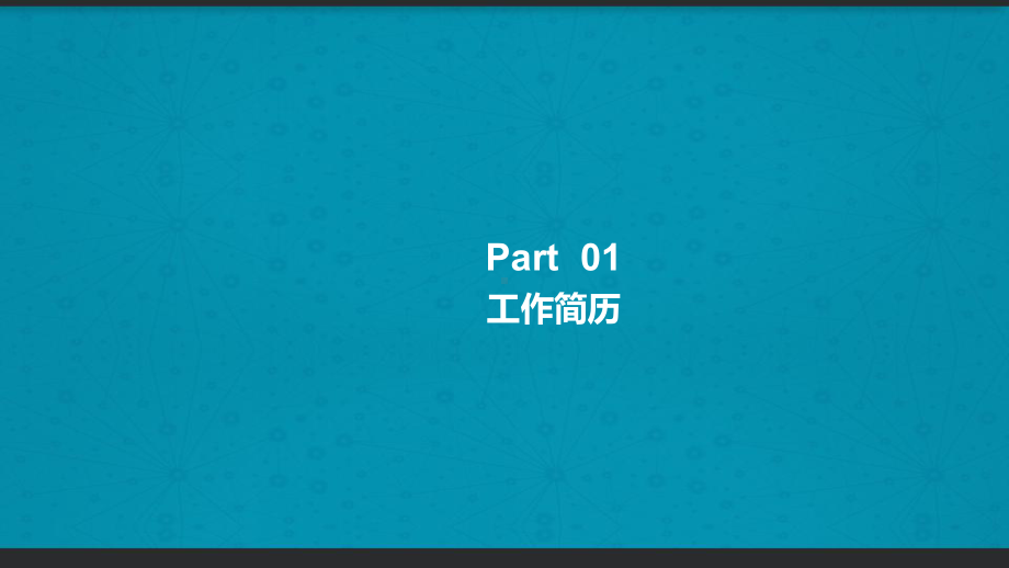 项目经理竞聘汇报-课件.ppt_第3页