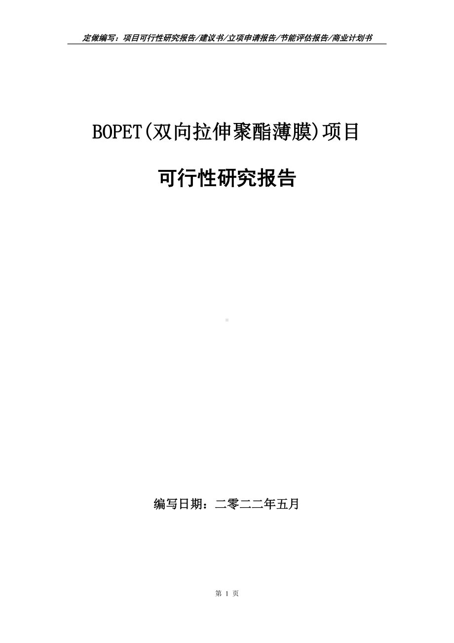 BOPET(双向拉伸聚酯薄膜)项目可行性报告（写作模板）.doc_第1页