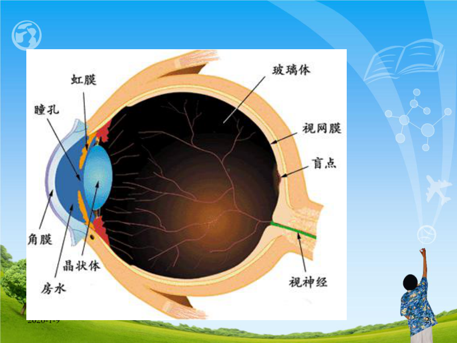 《白内障》优秀课件.ppt_第2页