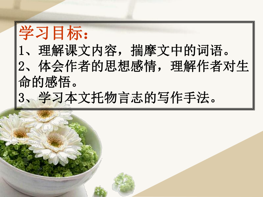 贝壳-席慕容课件.ppt_第3页