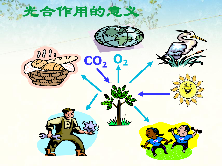 人类的食物与绿色植物有什么关系2课件.ppt_第2页