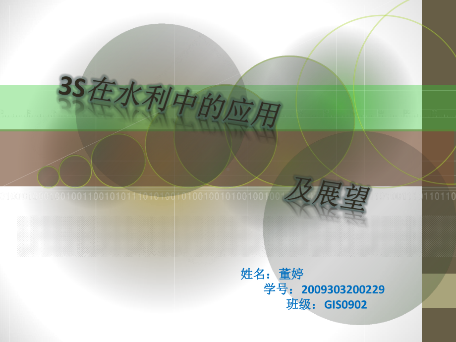 3S与水利.ppt_第1页