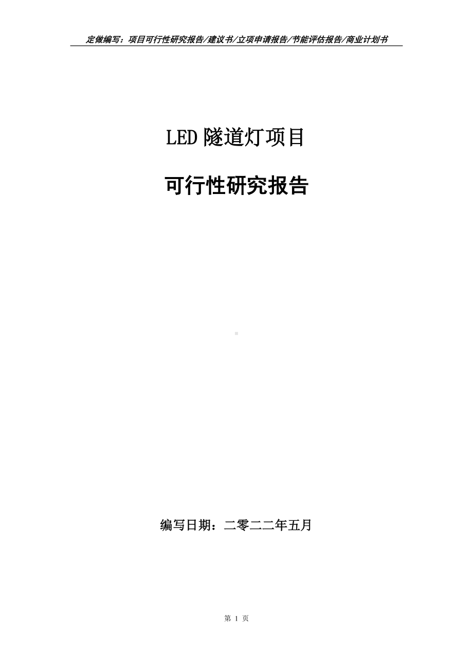 LED隧道灯项目可行性报告（写作模板）.doc_第1页