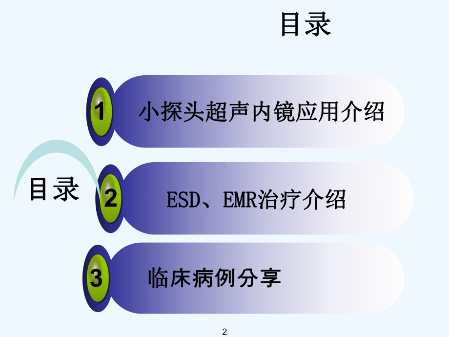 小探头超声内镜联合EMRESD诊疗消化道隆起病变课件.ppt_第2页