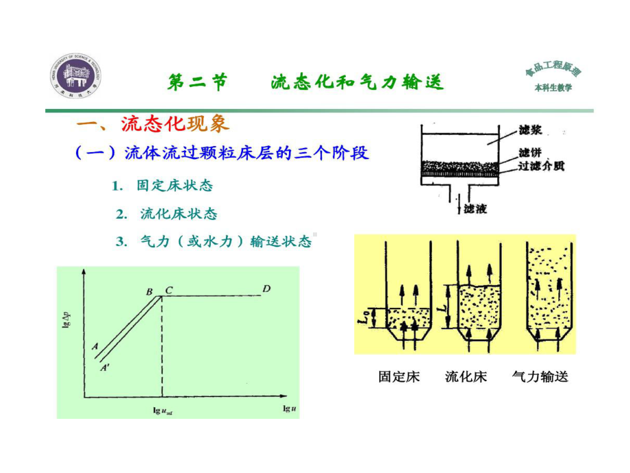 流化床气力输送均质乳化课件.ppt_第2页