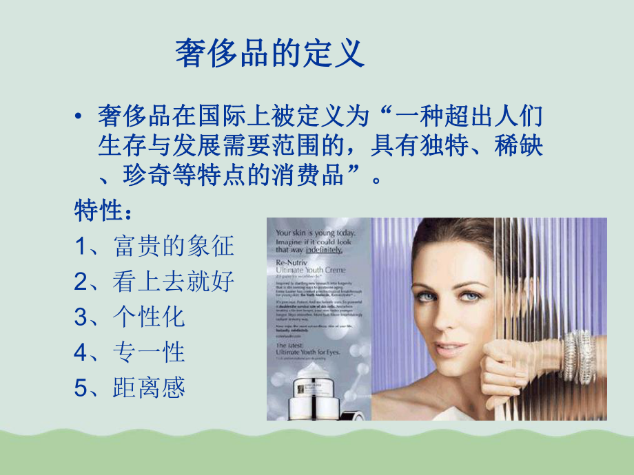 高端化妆品市场分析课件.ppt_第2页