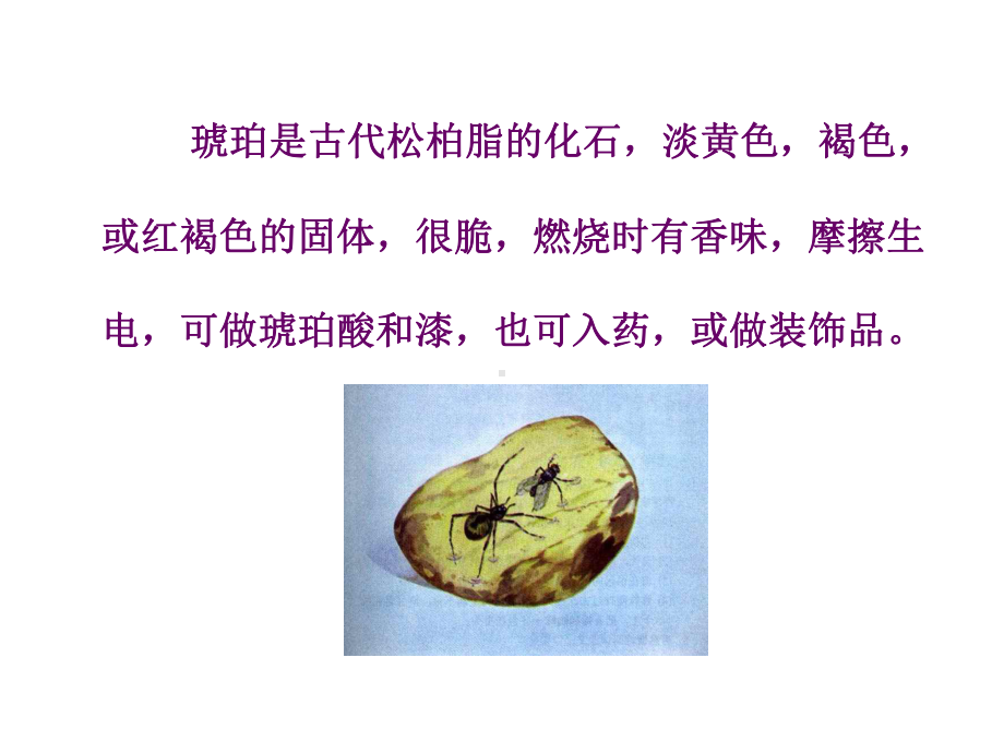 琥珀教学讲解课件.ppt_第3页