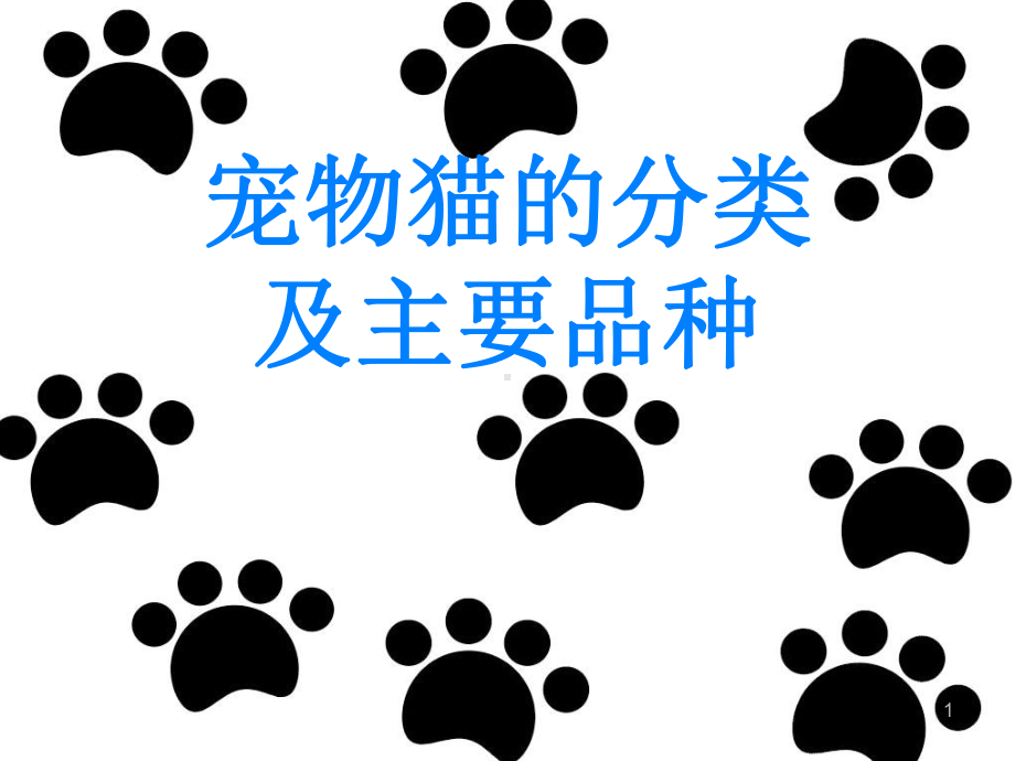 宠物猫的分类及主要品种课件.ppt_第1页