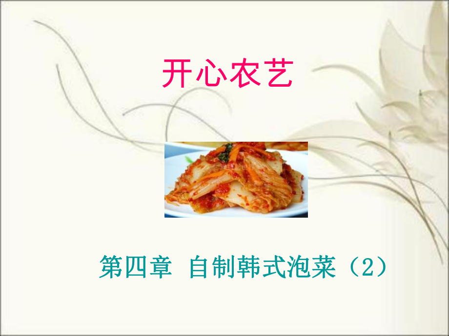 韩式泡菜辣白菜-资源课件.ppt_第1页