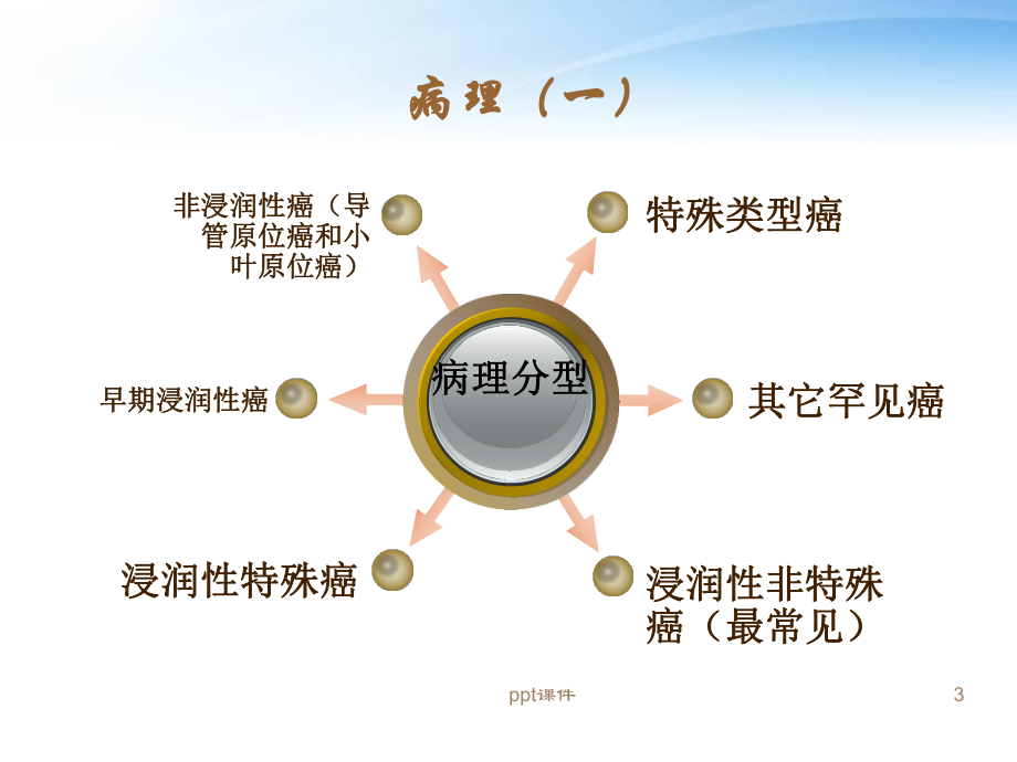 乳腺癌的护理查房-课件.ppt_第3页