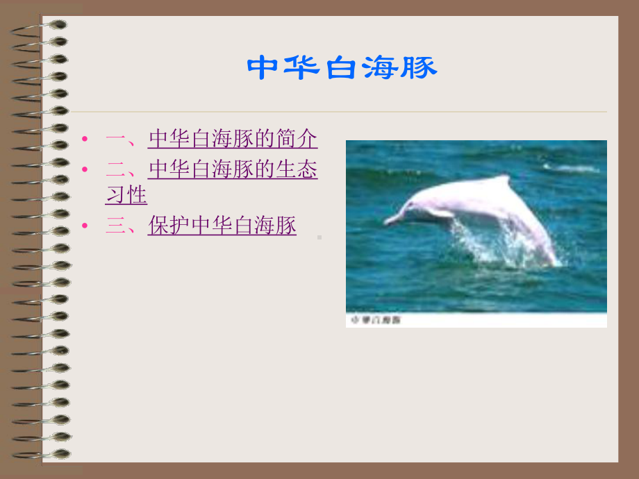 中华白海豚教材课件.ppt_第2页