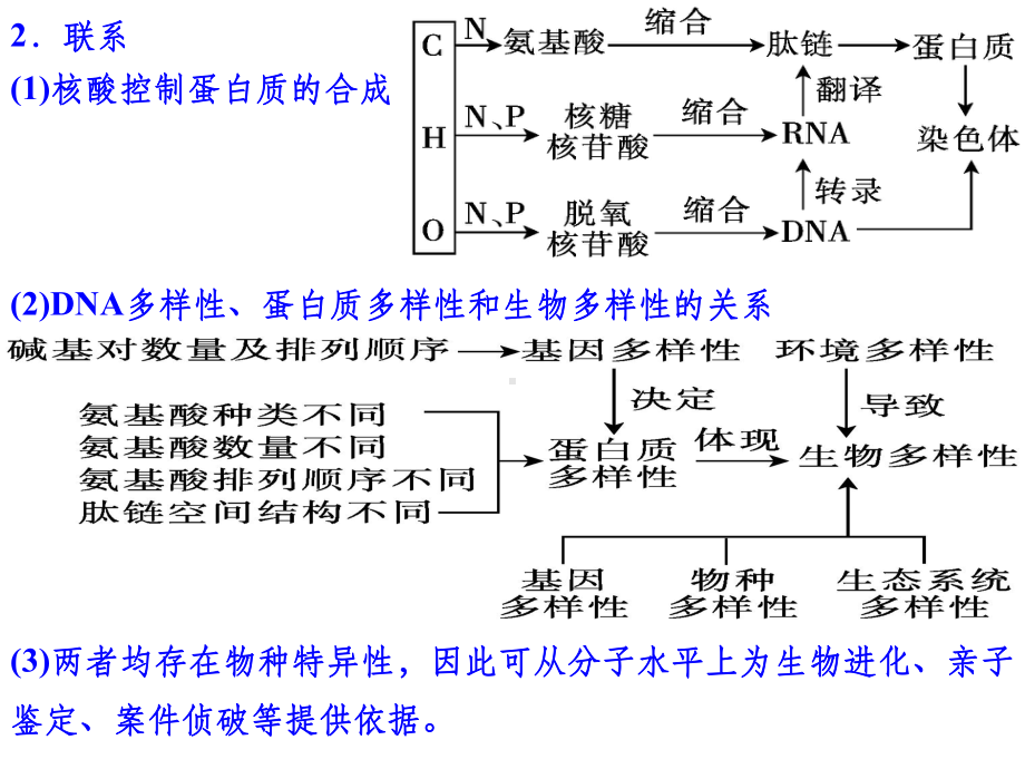 高考生物二轮总复习完整课件.ppt_第3页