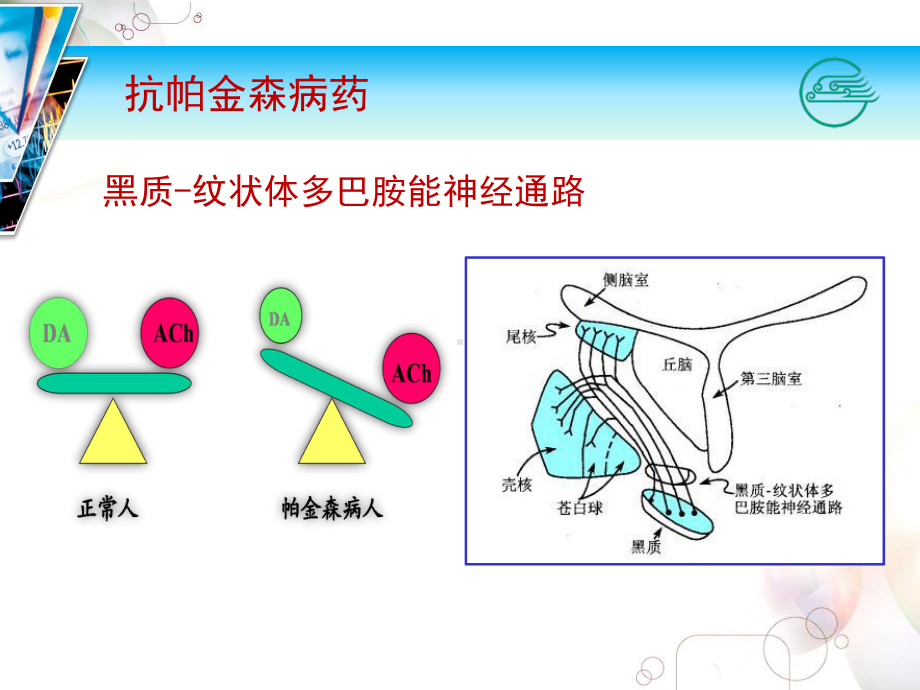 外周多巴脱羧酶抑制药课件.ppt_第3页