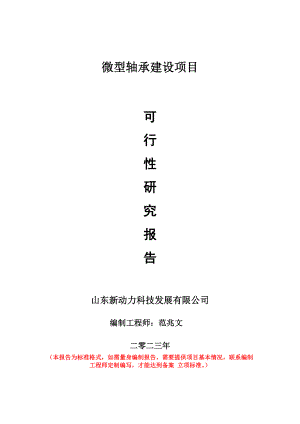 重点项目微型轴承建设项目可行性研究报告申请立项备案可修改案例.doc