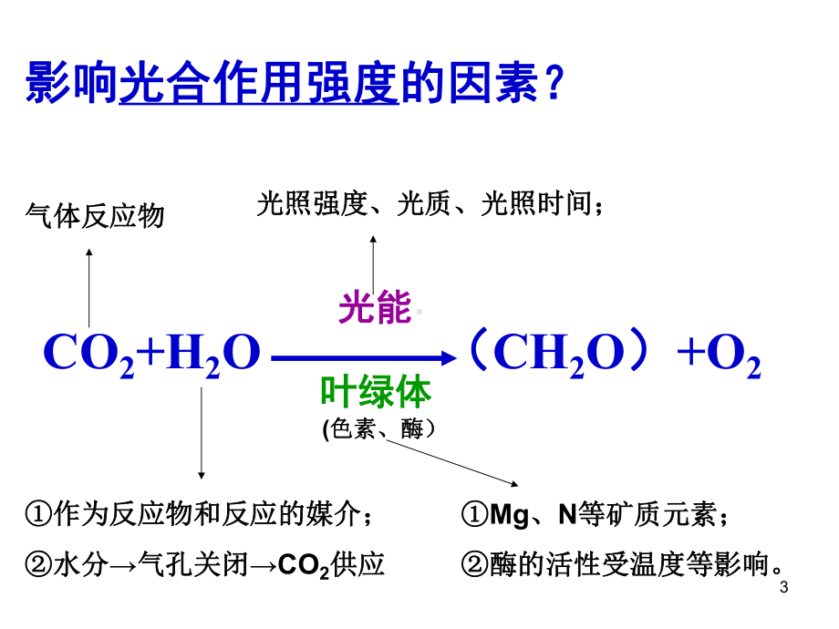 影响光合作用的因素及应用-课件.ppt_第3页