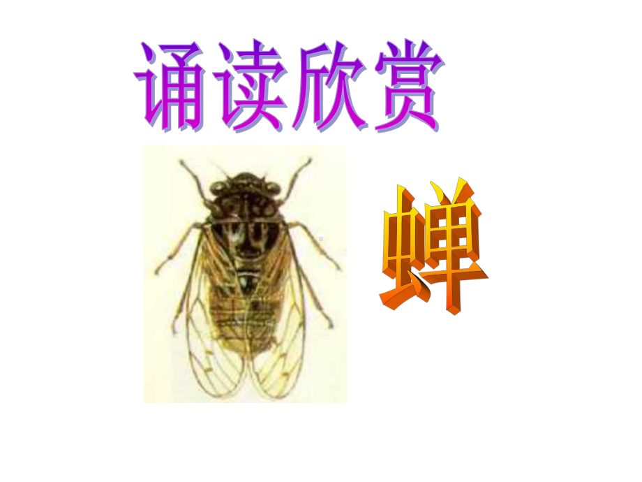 诵读欣赏《蝉》课件.ppt_第1页