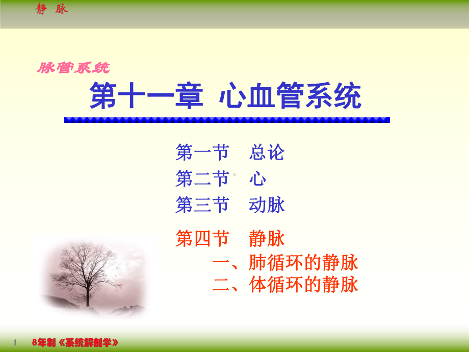 静脉系统临床与解剖-课件.ppt_第1页