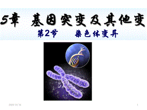 高三一轮复习-染色体变异教学课件.ppt