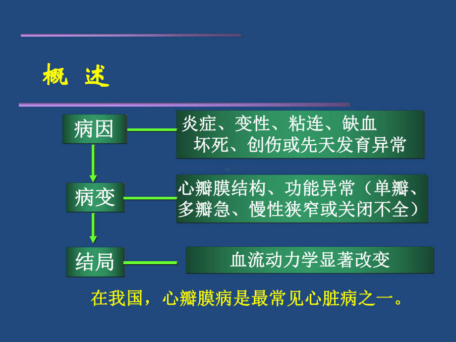 心脏瓣膜病及治疗课件.ppt_第2页