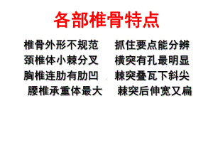 解剖记忆口诀课件.ppt