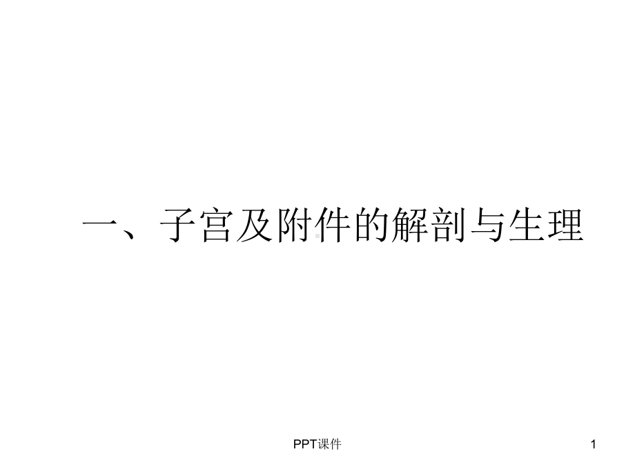 子宫附件-课件.ppt_第1页