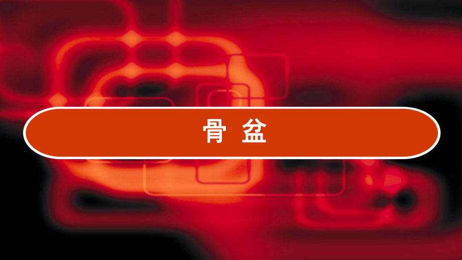 骨盆-教学讲解课件.ppt_第1页