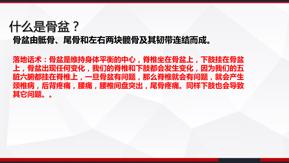 骨盆-教学讲解课件.ppt_第2页