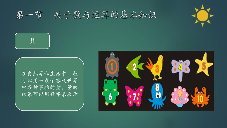 学前儿童数学教育与活动指导第六章学前儿童数概念与课件.ppt_第3页