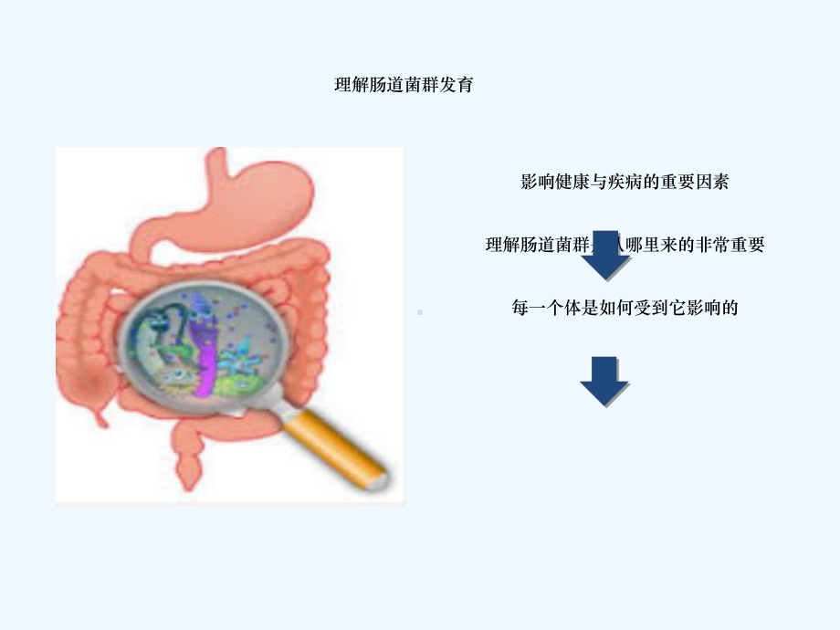 婴幼儿肠道菌群与健康课件.ppt_第2页