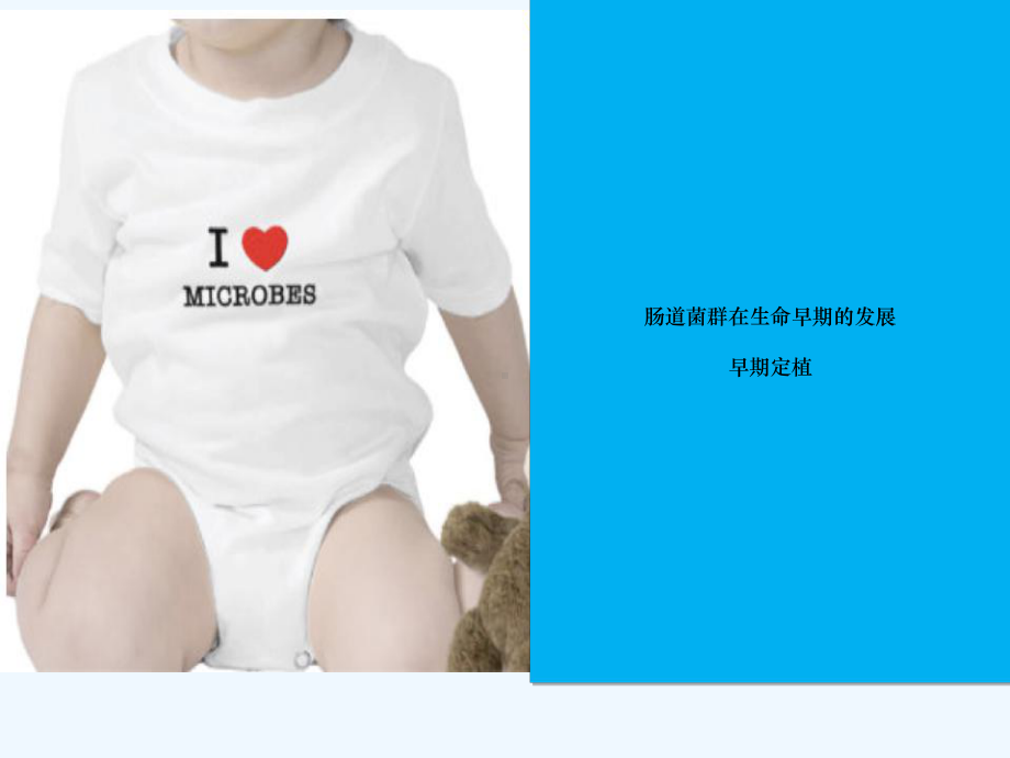 婴幼儿肠道菌群与健康课件.ppt_第3页