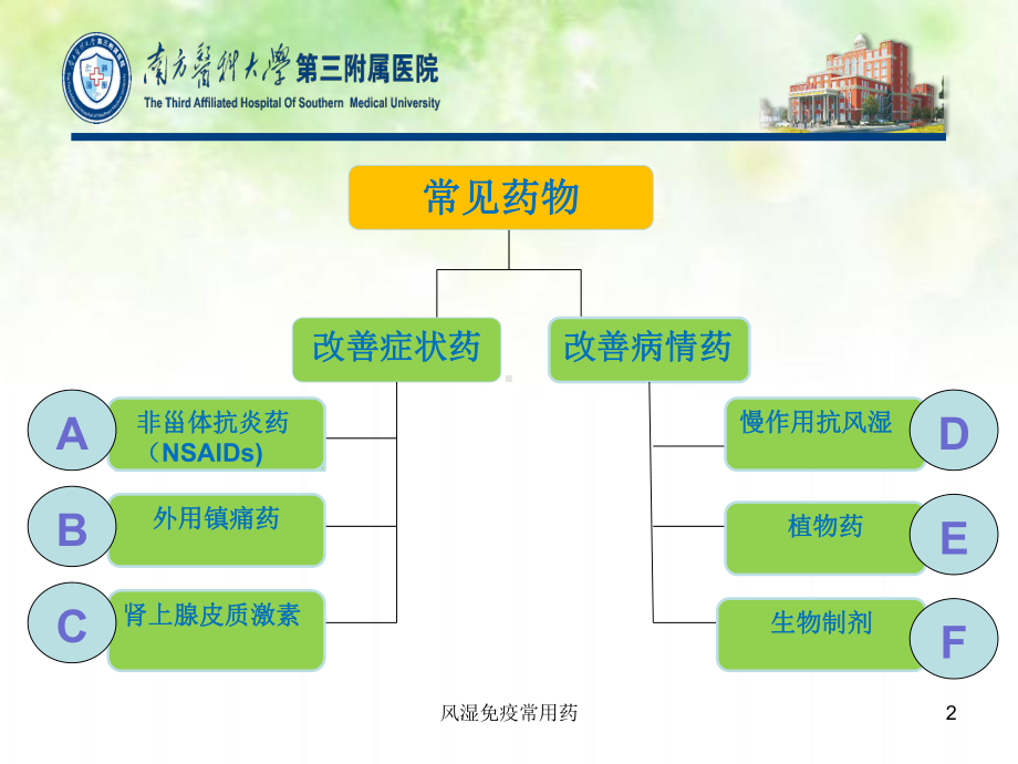 风湿免疫常用药课件.ppt_第2页