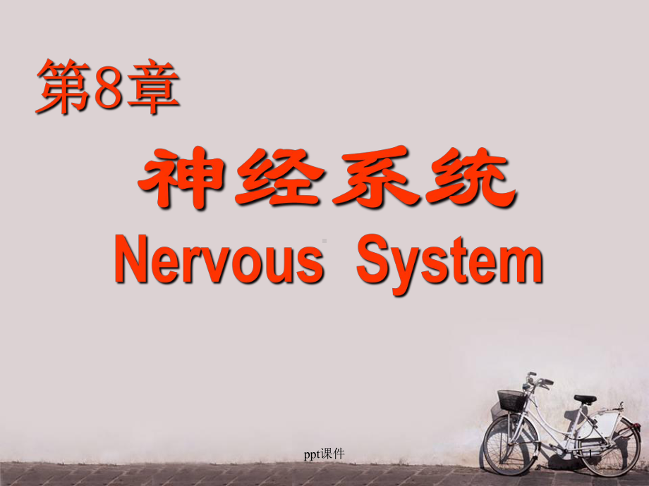 组织学与胚胎学之神经系统-课件.ppt_第1页