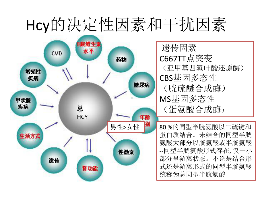 高同型半胱氨酸血症的药物治疗课件.pptx_第3页