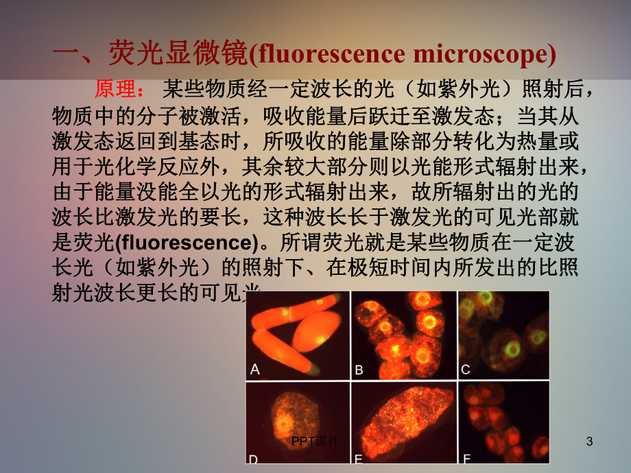 荧光显微镜的基本原理及应用-课件.ppt_第3页