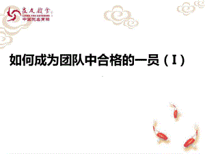 良友--如何成为团队中合格的一员课件.ppt