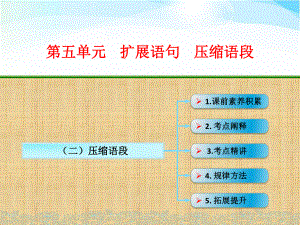 高考语文一轮复习压缩语段名师公开课省级获奖课件(.ppt