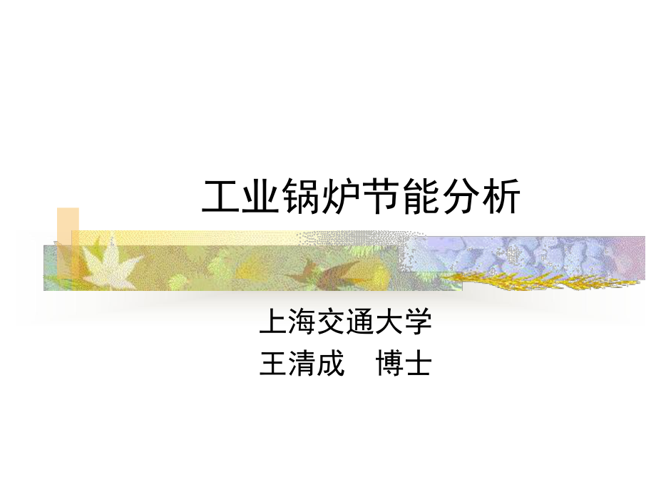 锅炉烟气系统的漏风主要发生在锅炉排放炉渣的部位课件.ppt_第1页