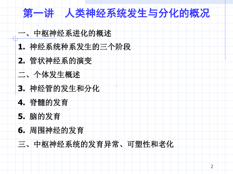 大脑皮质的发育课件.ppt_第2页