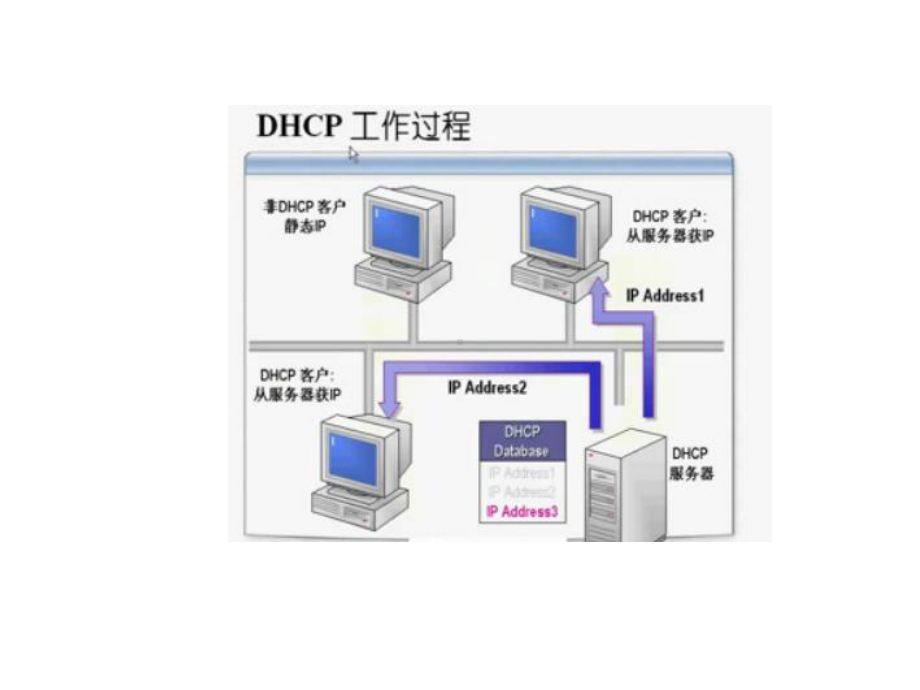 DHCP服务的配置与管理.ppt_第2页