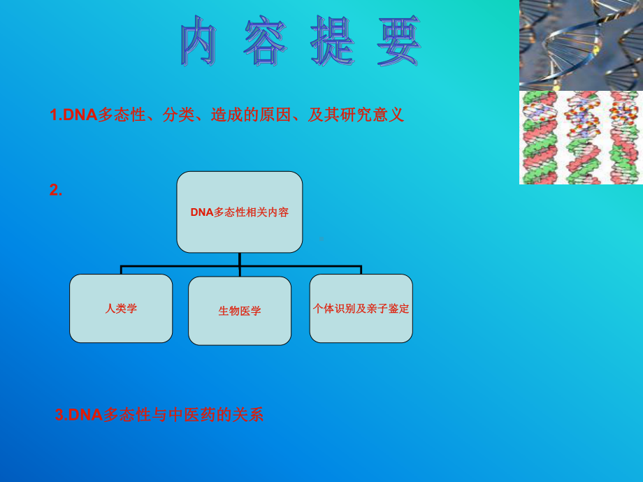 DNA多态性及其与医药学的关系.ppt_第3页