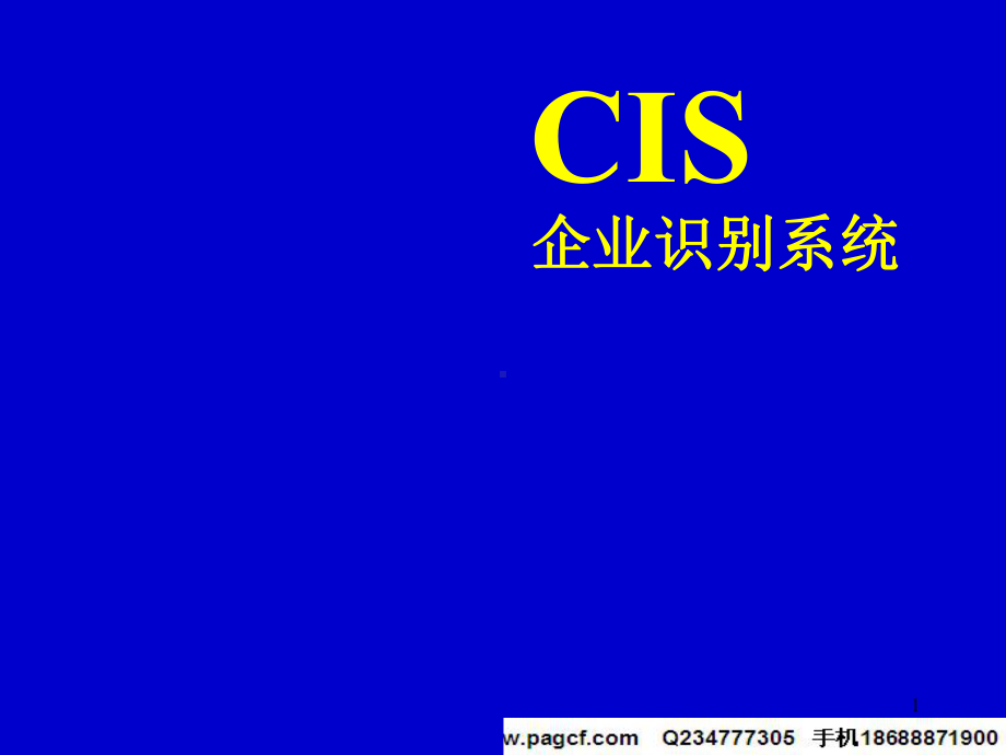 CIS企业识别系统.ppt_第1页