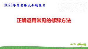 2023年高考语文专题复习：正确运用常见的修辞方法 课件59张.pptx