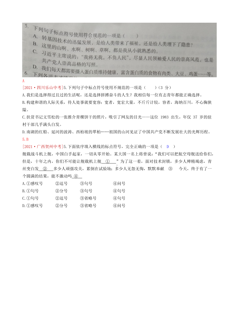 中考语文真题分类标点符号.docx_第2页