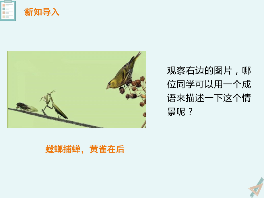 3.16生物间的食物关系（ppt课件共18张ppt）-2023新粤教版六年级下册《科学》.pptx_第2页