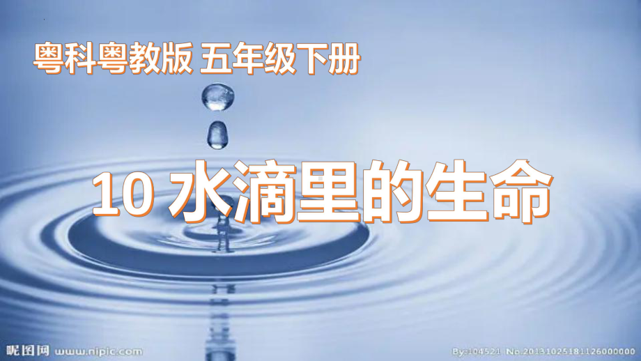 2.10微小的生命世界（ppt课件16张ppt）-2023新粤教版五年级下册《科学》.pptx_第1页