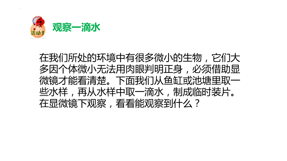 2.10微小的生命世界（ppt课件16张ppt）-2023新粤教版五年级下册《科学》.pptx_第3页