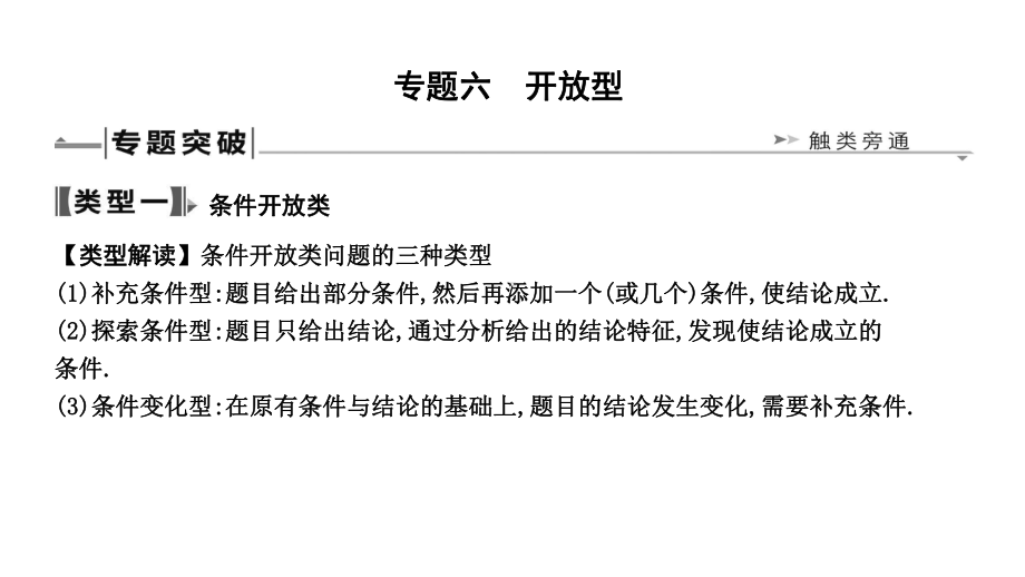 2019届人教版九年级中考复习数学ppt课件：专题六　开放型(共24张PPT).ppt_第1页