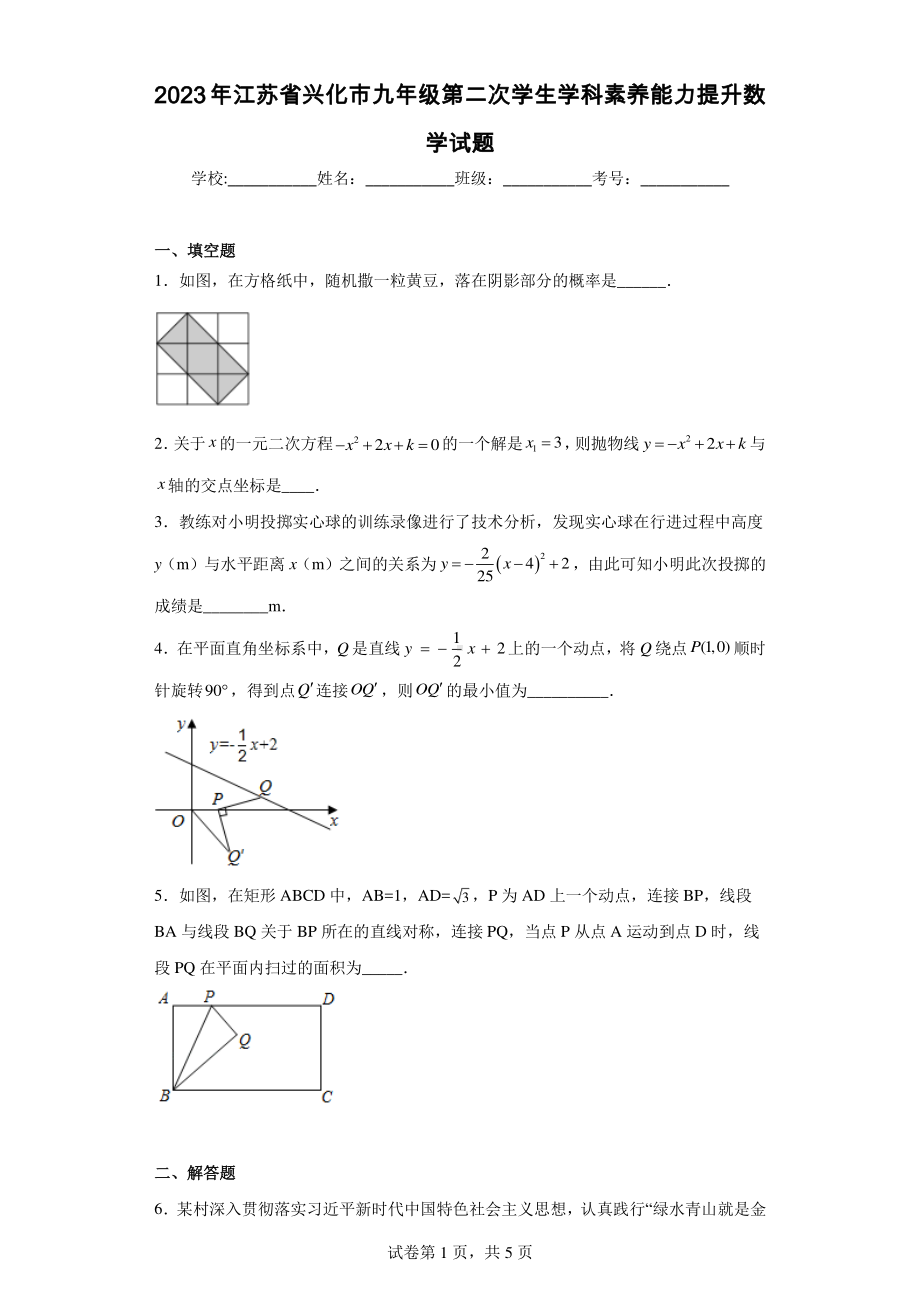 2023年江苏省兴化市九年级第二次学生学科素养能力提升数学试题.pdf_第1页